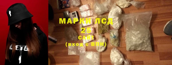 ГАЛЛЮЦИНОГЕННЫЕ ГРИБЫ Верея