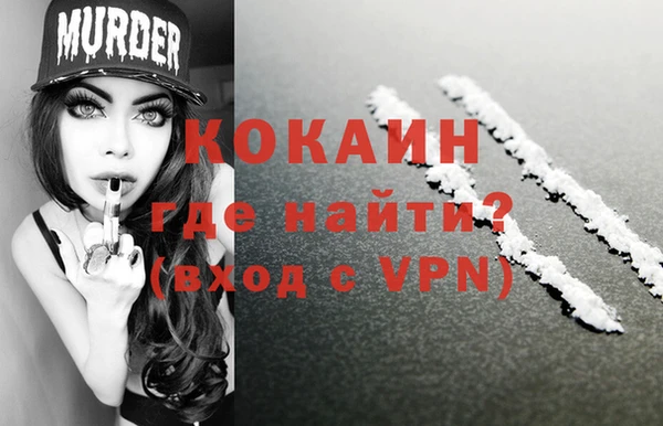 ГАЛЛЮЦИНОГЕННЫЕ ГРИБЫ Верея