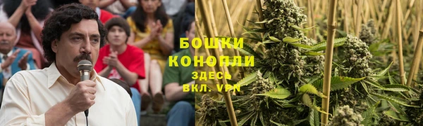 ГАЛЛЮЦИНОГЕННЫЕ ГРИБЫ Верея