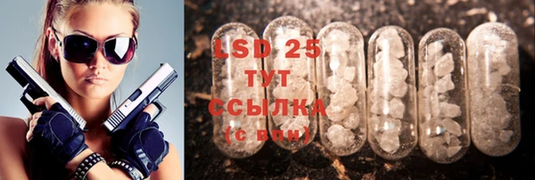 ГАЛЛЮЦИНОГЕННЫЕ ГРИБЫ Верея