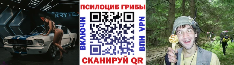 Купить  Куртамыш  Галлюциногенные грибы GOLDEN TEACHER 